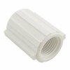 Thrifco Plumbing 1 Inch Threaded x Threaded SCH 40 PVC Coupling, White 8113827